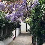 Unique House In The 16